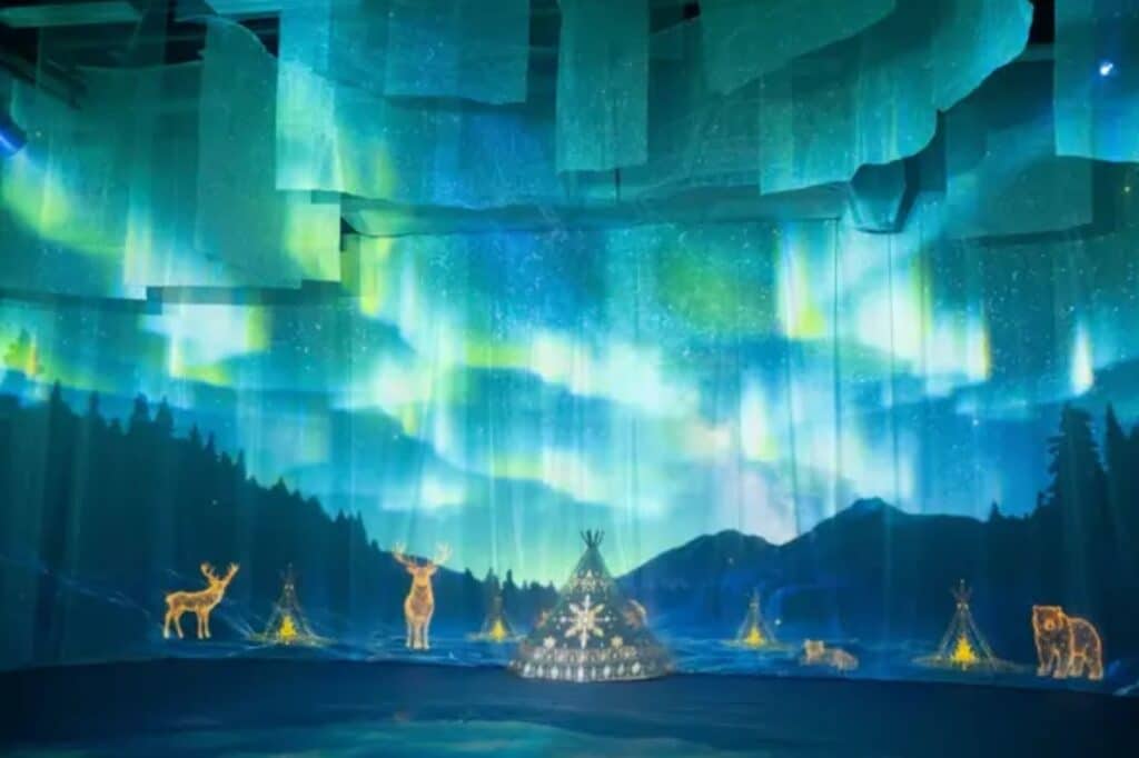 Aurora and Forest Stories Exhibition
