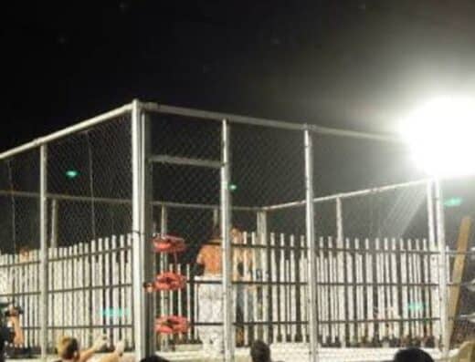 Big Japan Pro Wrestling Death Market