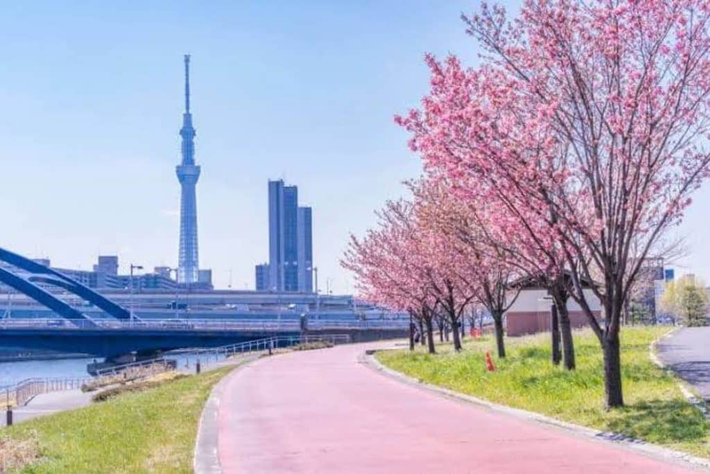 Come Spring Seriously Come Tokyo Tickets