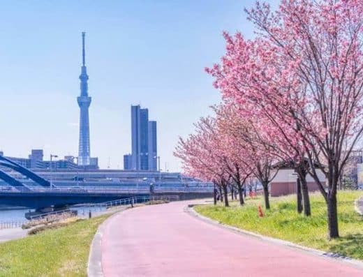 Come Spring Seriously Come Tokyo Tickets