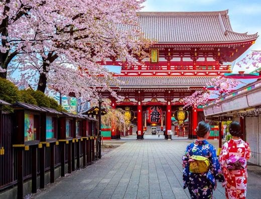 Come Spring Seriously Come Tokyo Tickets