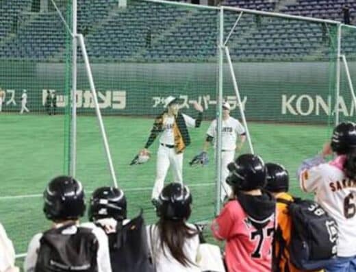 Giants Farm League Tickets