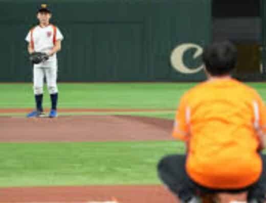 Giants Farm League Tickets