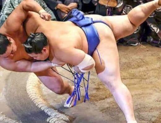 Grand Sumo Autumn Tour Ebina