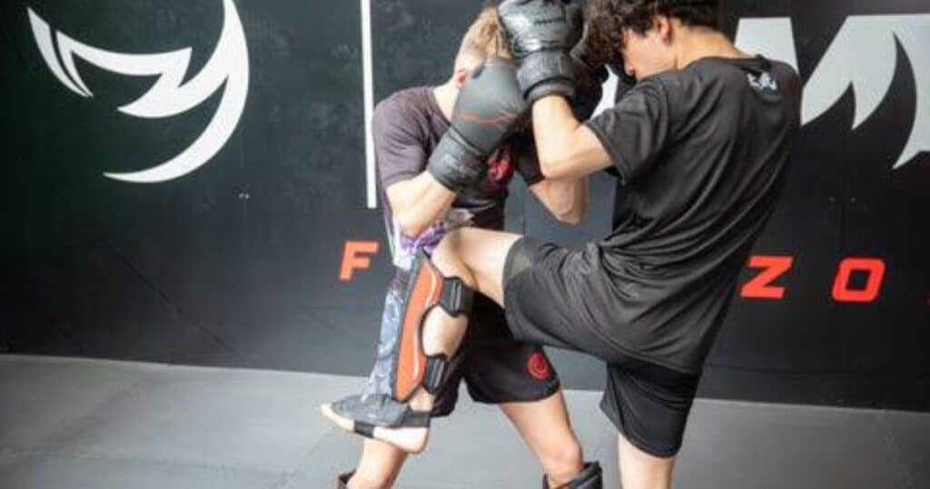 Japan Kickboxing Association KICK Insist