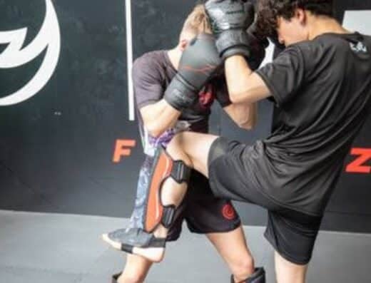Japan Kickboxing Association KICK Insist
