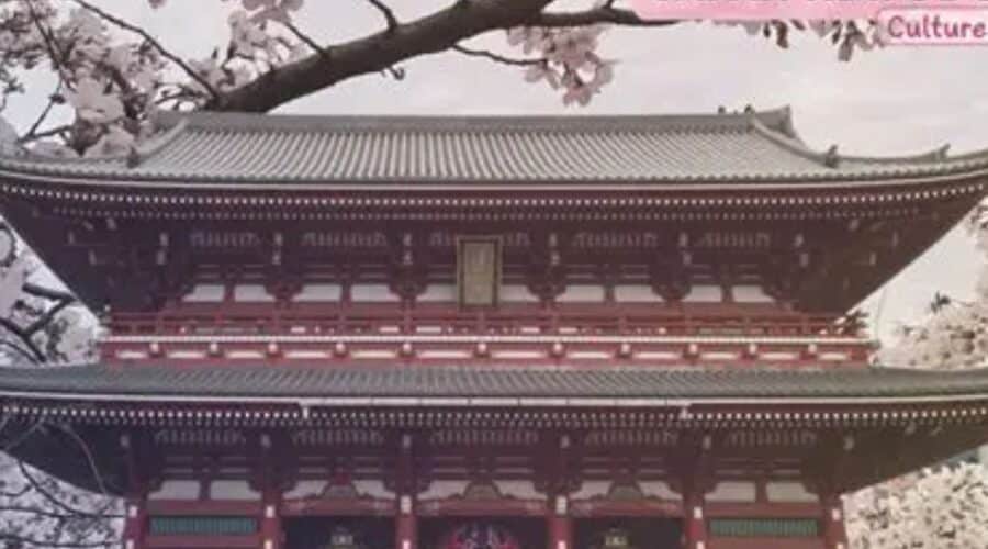 A Complete Guide for Visitors to Japan