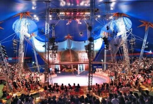 Kinoshita Circus Nara Kashihara 2026 Tickets