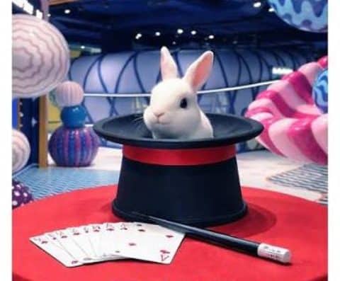 Magical Uncle’s Winter Holiday Magic Class & Show 2026 Tickets — Tokyo