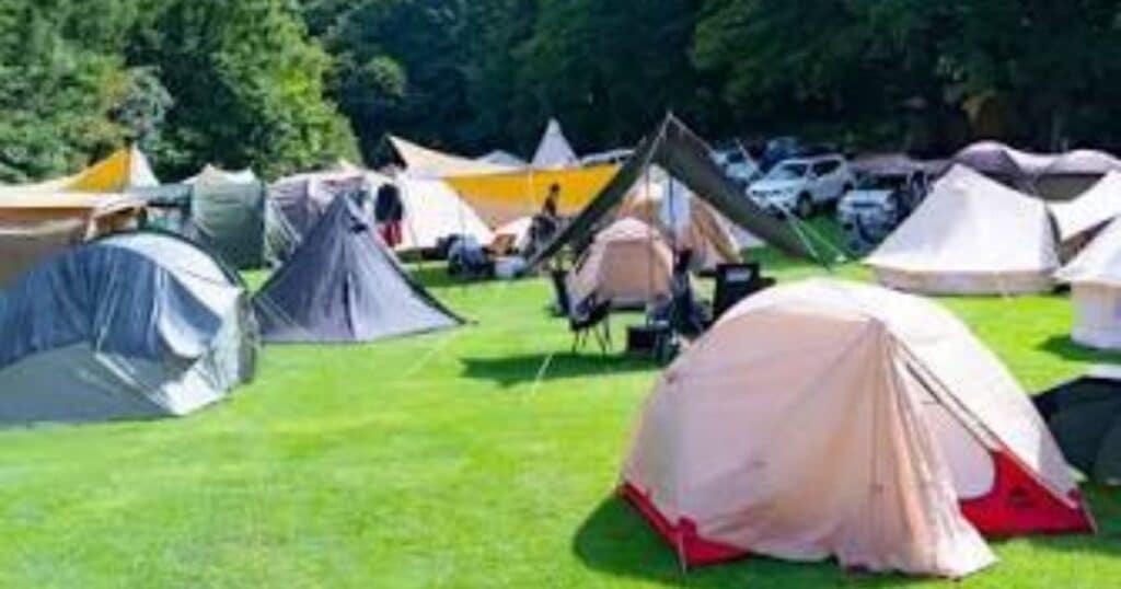 New Acoustic Camp Tickets