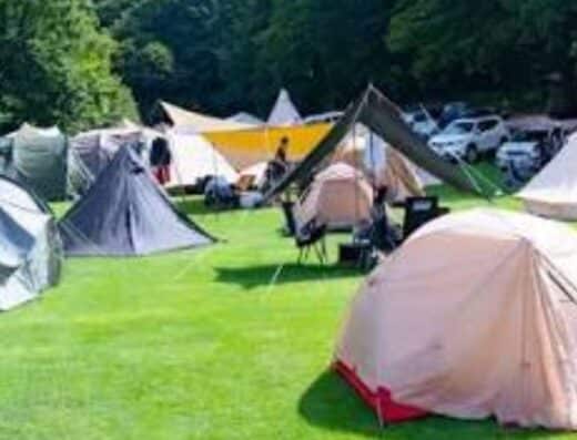 New Acoustic Camp Tickets