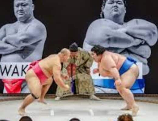 Osaki Grand Sumo Tour Tickets