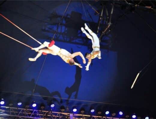 Pop Circus Yamaguchi 2027 Tickets