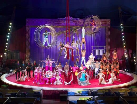 Pop Circus Yamaguchi 2027 Tickets