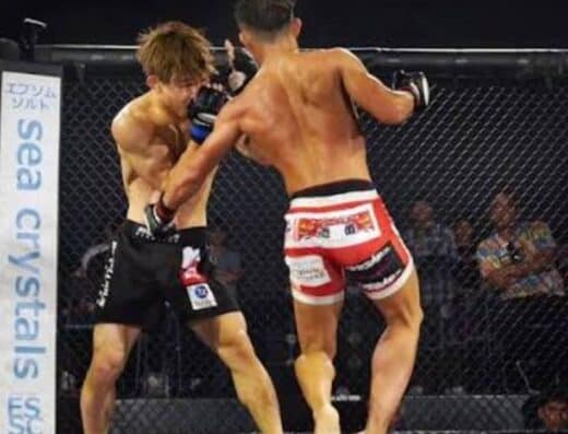 Professional Shooto Torao