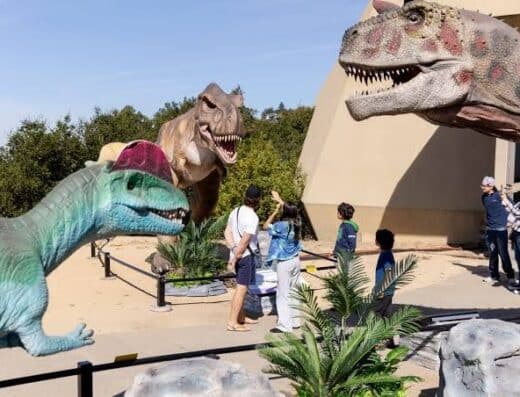 Real Dinosaur Show Dinosaur Park 2026 Tickets — Nationwide Japan Tour