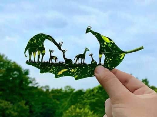Rito Leaf Paper Cutting Exhibition