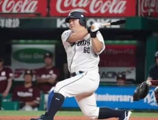 Saitama Seibu Lions Tickets