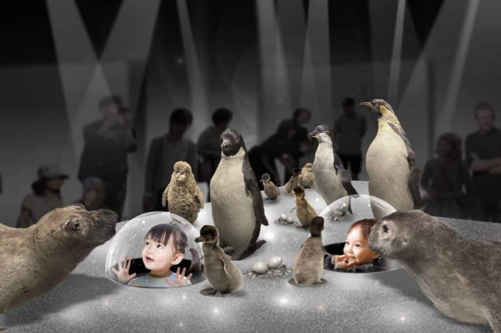 The Great Antarctic Exhibition