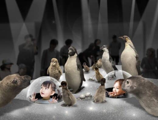The Great Antarctic Exhibition 2026 Tickets Tokyo