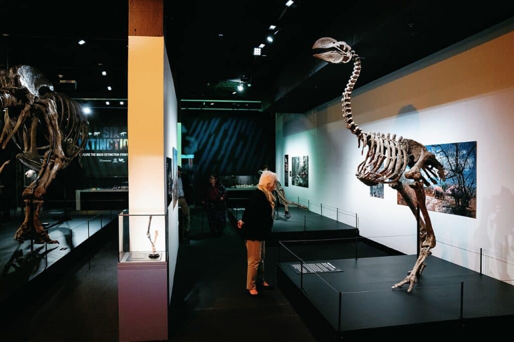 The Great Extinction Exhibition