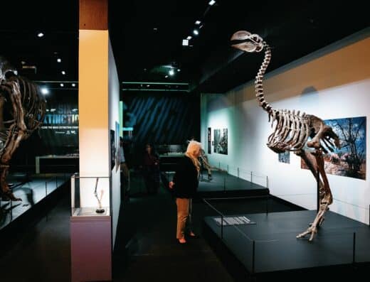 The Great Extinction Exhibition 2026 Tickets Osaka