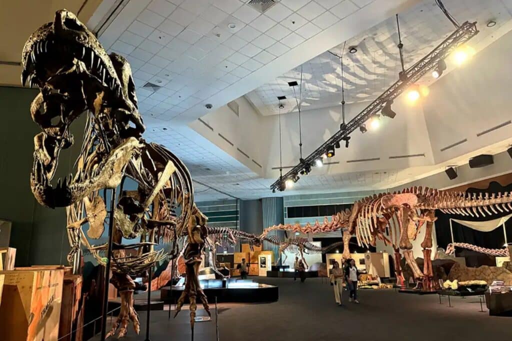 The Great Extinction Exhibition