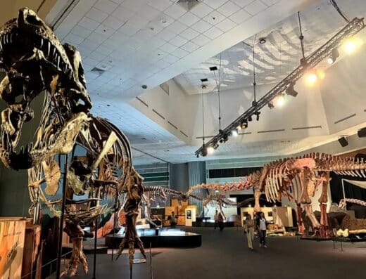 The Great Extinction Exhibition 2026 Tickets Osaka