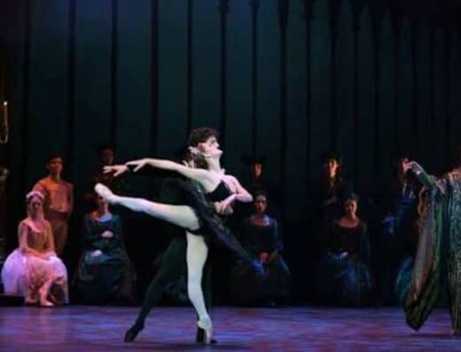 Tokyo Ballet Swan Lake Bourmeister