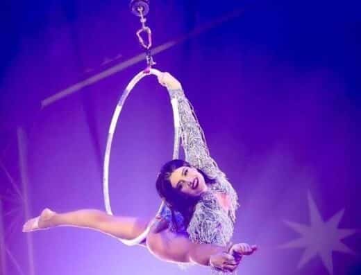 World Dream Circus Hokuriku Oyabe 2026 Tickets Toyama
