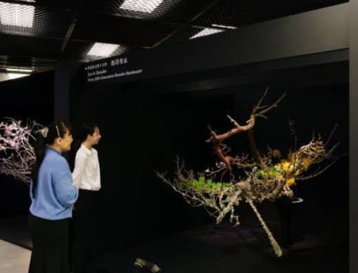 Former Tanabata Festival Ikenobo National Flower Arrangement Exhibition 2026 Kyoto