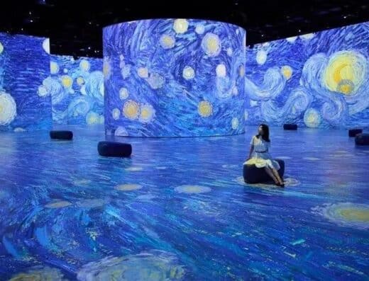 REVE DES LUMIERES EPSON