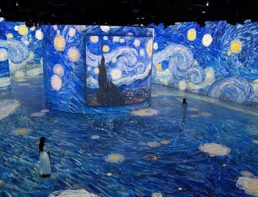 REVE DES LUMIERES EPSON