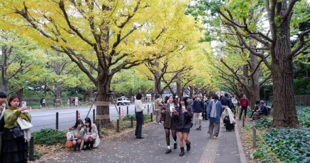 Meiji Jingu Gaien Centennial