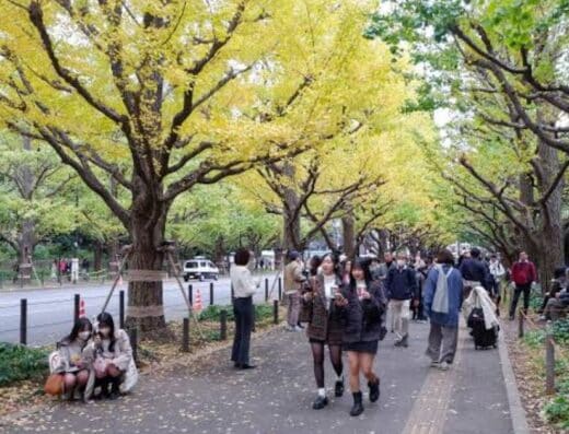 Meiji Jingu Gaien Centennial