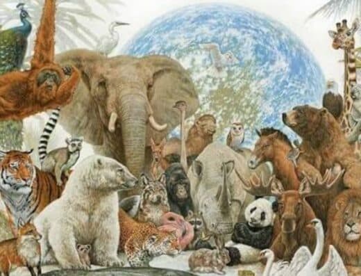 Super World of Living Things
