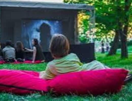 Our Songs in the Park