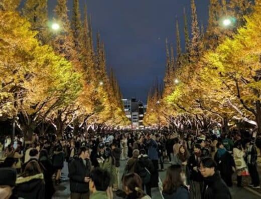 Meiji Jingu Gaien Centennial