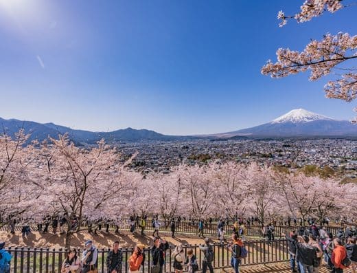 Minobu Mountain Ropeway Event 2026-27 Tickets