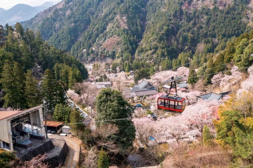 Minobu Mountain Ropeway Event