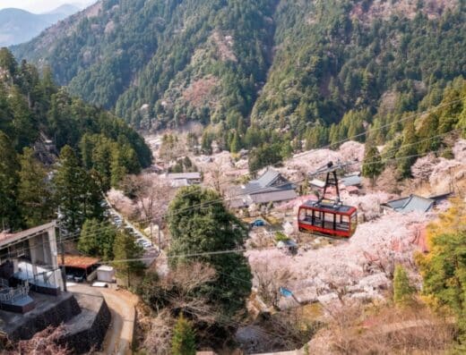 Minobu Mountain Ropeway Event