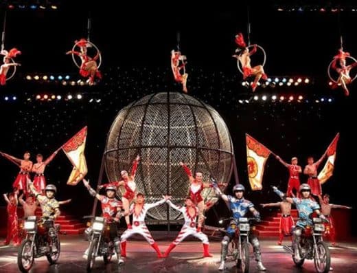 Miracle Dream Circus 2026 Tickets Ashikaga, Tochigi