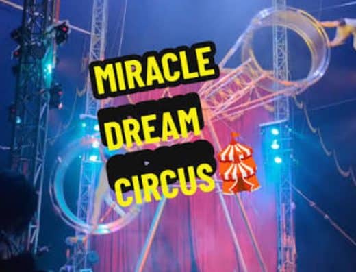 Miracle Dream Circus Ryomo Ashikaga 2027 Tickets — Ashikaga, Tochigi