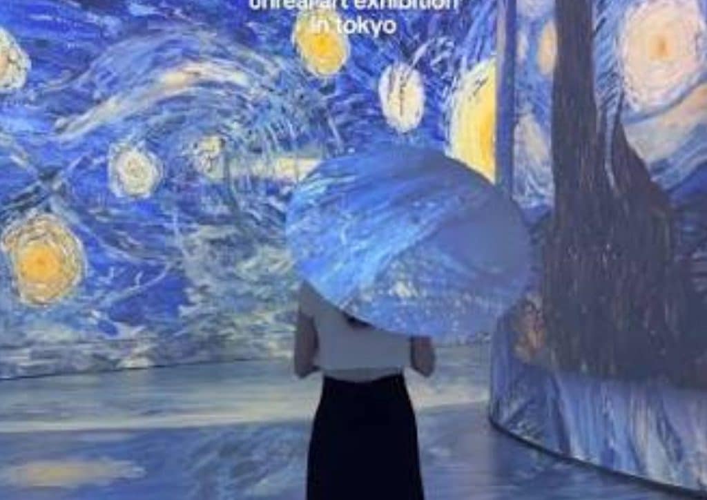 REVE DES LUMIERES Exhibition