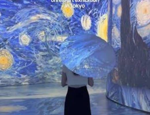REVE DES LUMIERES powered by EPSON 2026 Tickets — TOKYO DREAM PARK, Tokyo