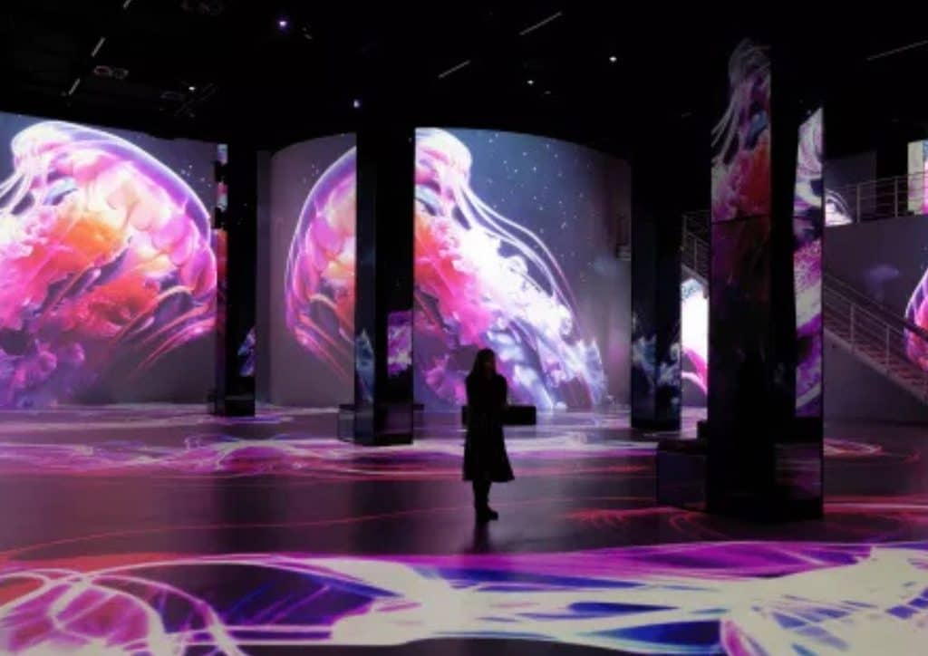 REVE DES LUMIERES Exhibition Tokyo