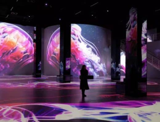 REVE DES LUMIERES 2026 Tickets TOKYO DREAM PARK, Tokyo