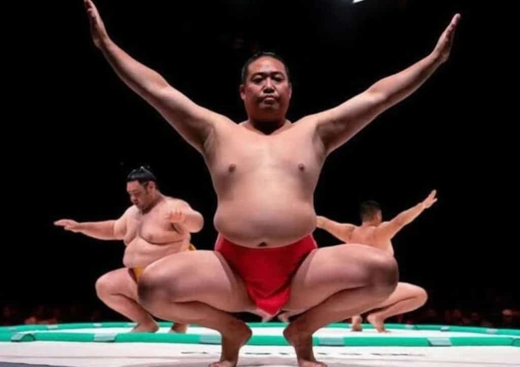 Sumo Tournament Aira Tickets