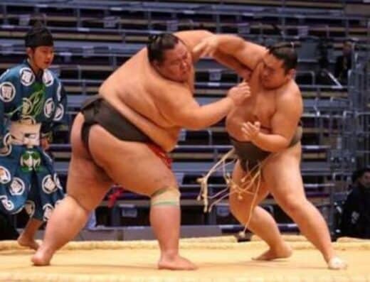 Reiwa 8 Sumo Tickets